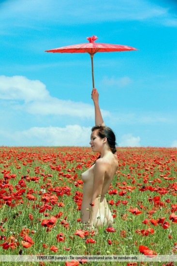 Naked brunette teen Diana H is gathering the bright poppies in the field