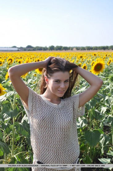 The naked body of cute teen Valeria A looks great in the sun flowers field